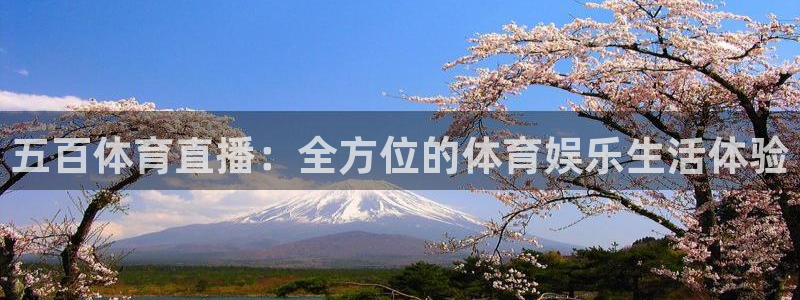 五百体育直播：全方位的体育娱乐生活体验