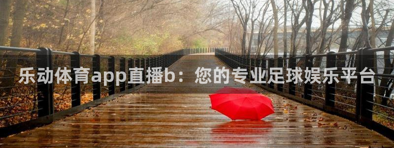 乐动体育app直播b：您的专业足球娱乐平台