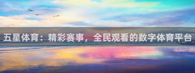 五星体育：精彩赛事，全民观看的数字体育平台